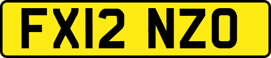 FX12NZO