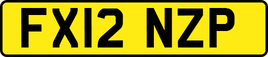 FX12NZP
