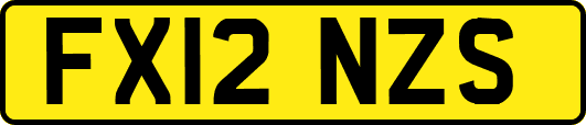 FX12NZS
