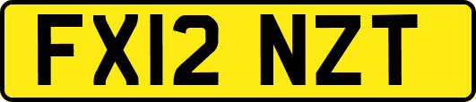FX12NZT
