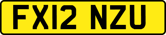 FX12NZU