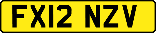 FX12NZV