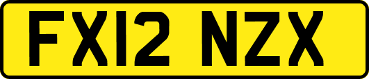 FX12NZX