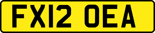 FX12OEA