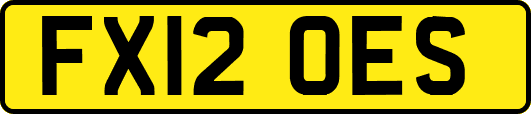 FX12OES