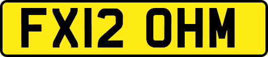 FX12OHM