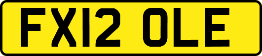 FX12OLE