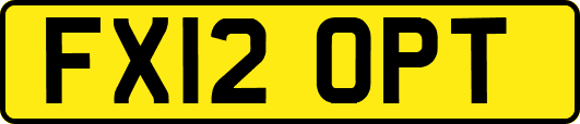 FX12OPT
