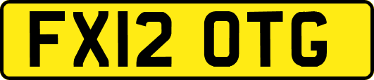 FX12OTG