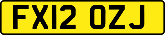 FX12OZJ