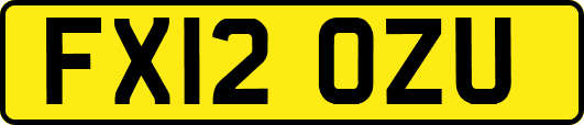 FX12OZU