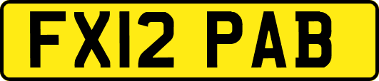 FX12PAB