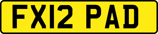 FX12PAD
