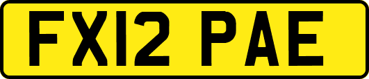 FX12PAE
