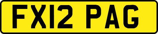 FX12PAG