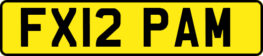 FX12PAM