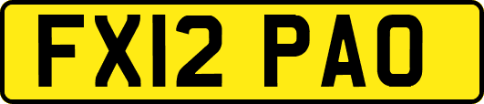 FX12PAO