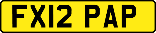 FX12PAP