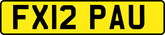 FX12PAU