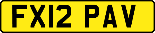FX12PAV