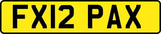 FX12PAX