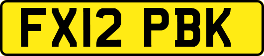 FX12PBK