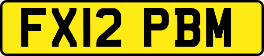 FX12PBM