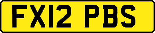 FX12PBS