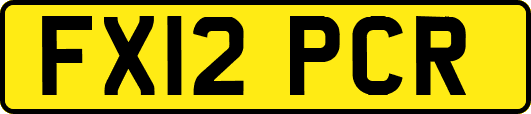 FX12PCR