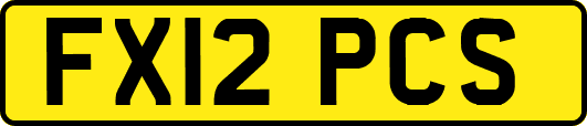 FX12PCS