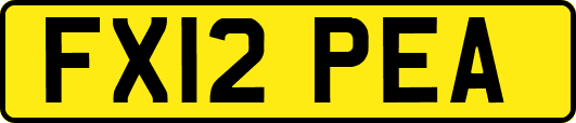 FX12PEA