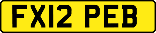 FX12PEB