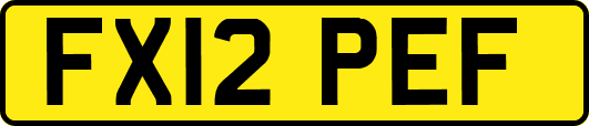 FX12PEF