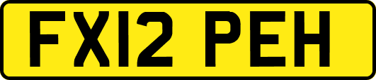 FX12PEH