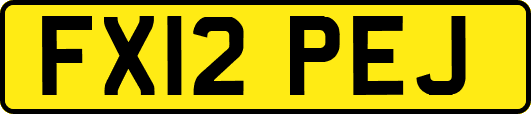 FX12PEJ