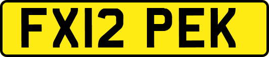 FX12PEK