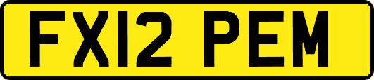 FX12PEM