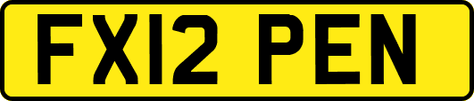 FX12PEN