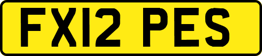 FX12PES