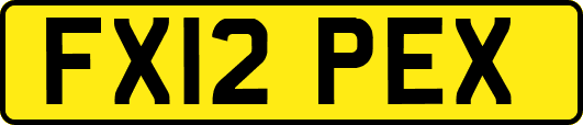 FX12PEX
