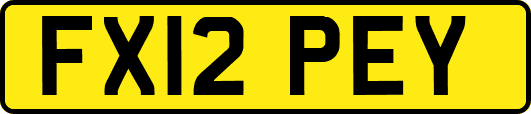 FX12PEY