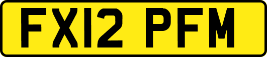 FX12PFM