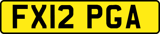 FX12PGA