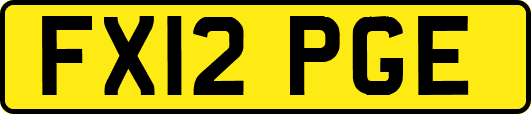 FX12PGE