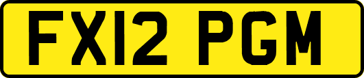 FX12PGM