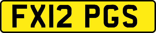FX12PGS