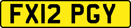 FX12PGY
