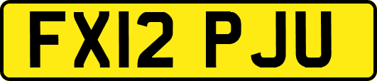 FX12PJU