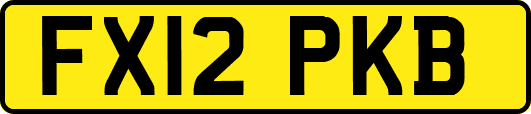 FX12PKB