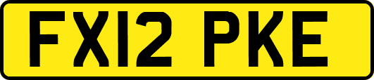FX12PKE